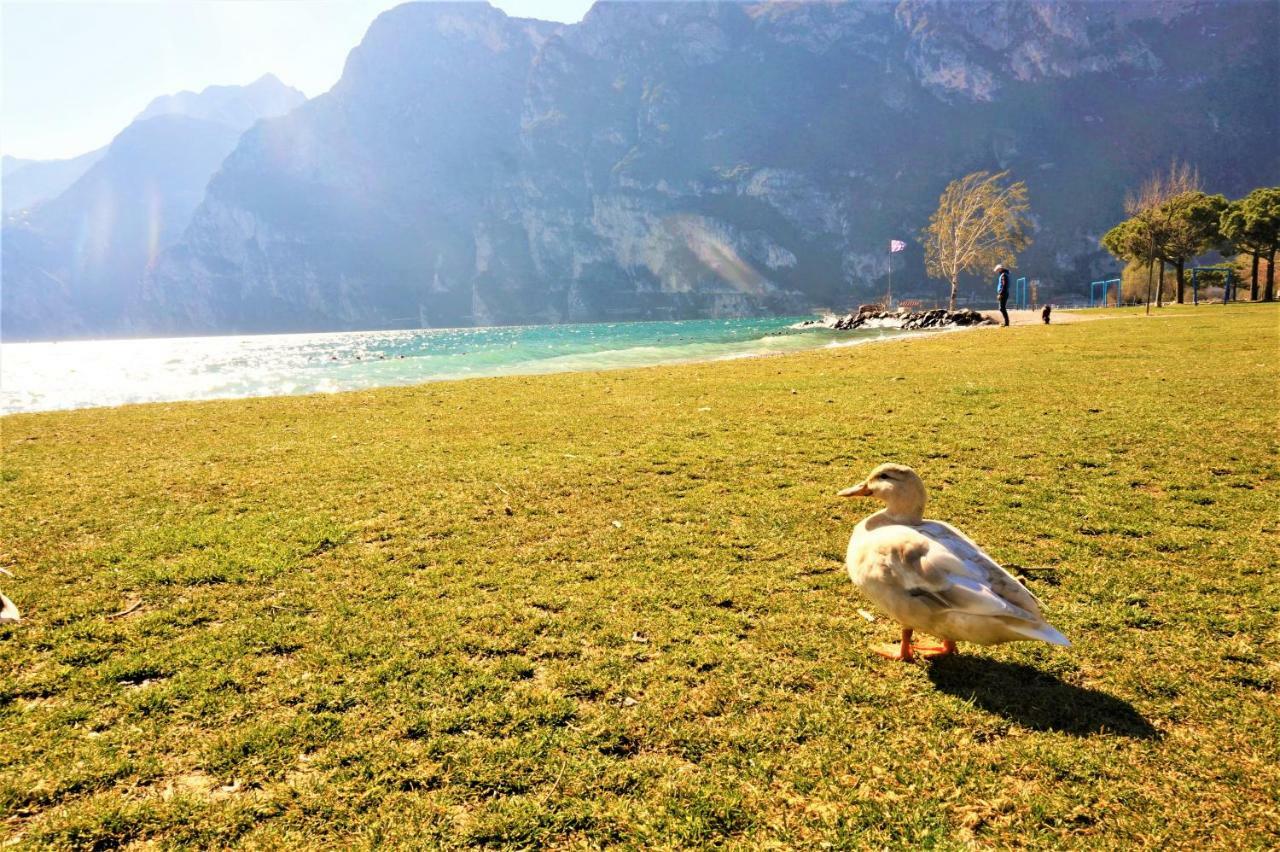 Apartment Brione Riva del Garda Eksteriør billede